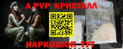 крисы Кингисепп