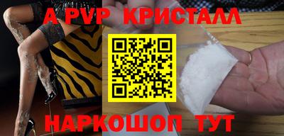 крисы Кингисепп