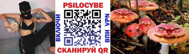 blacksprut ссылки  Кунгур  Галлюциногенные грибы Psilocybine cubensis 