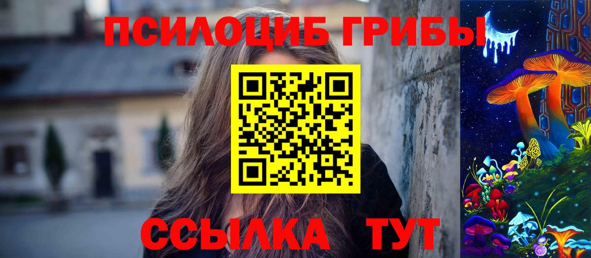 Псилоцибиновые грибы мицелий Кунгур