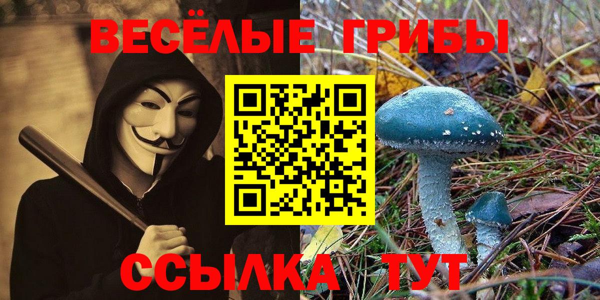 Псилоцибиновые грибы мухоморы  Вход с VPN  Кунгур  Псилоцибиновые грибы мухоморы 